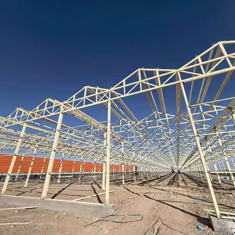 Чому каркас теплиці з оцинкованої сталі є найкращим вибором для сучасного сільського господарства